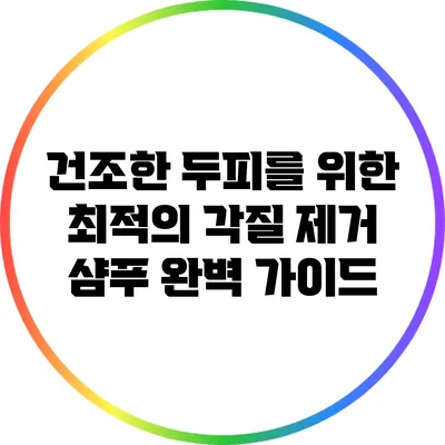 건조한 두피를 위한 최적의 각질 제거 샴푸 완벽 가이드