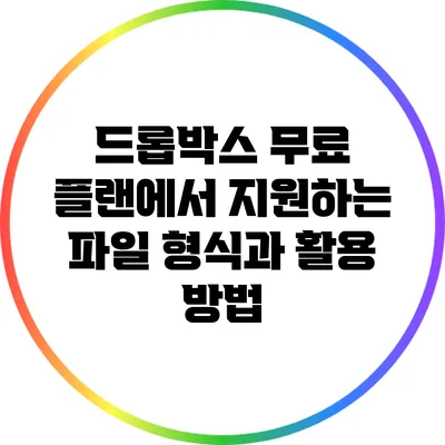 드롭박스 무료 플랜에서 지원하는 파일 형식과 활용 방법