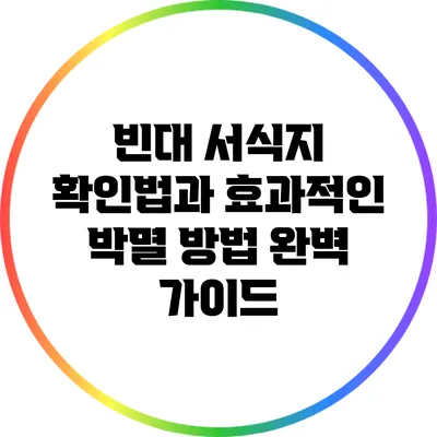 빈대 서식지 확인법과 효과적인 박멸 방법 완벽 가이드