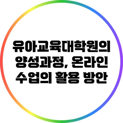 유아교육대학원의 양성과정, 온라인 수업의 활용 방안