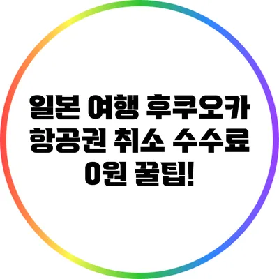 일본 여행 후쿠오카 항공권 취소 수수료 0원 꿀팁!