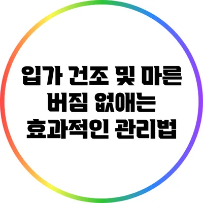 입가 건조 및 마른 버짐 없애는 효과적인 관리법