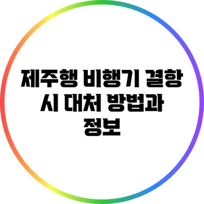 제주행 비행기 결항 시 대처 방법과 정보