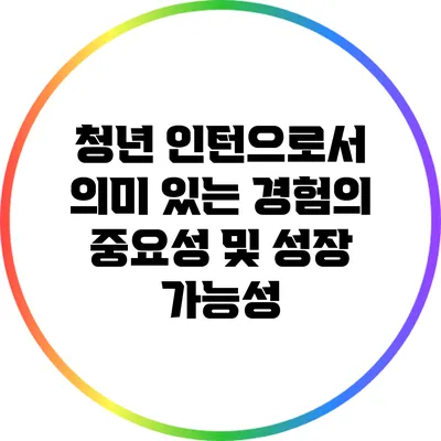 청년 인턴으로서 의미 있는 경험의 중요성 및 성장 가능성