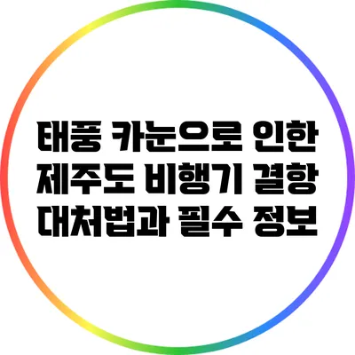 태풍 카눈으로 인한 제주도 비행기 결항 대처법과 필수 정보