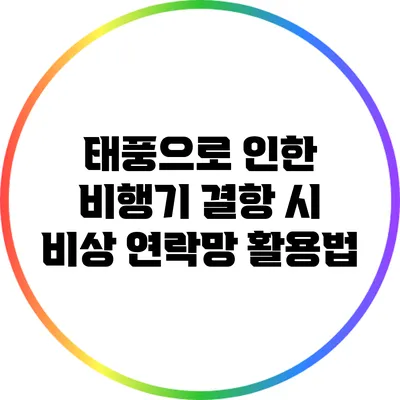 태풍으로 인한 비행기 결항 시 비상 연락망 활용법