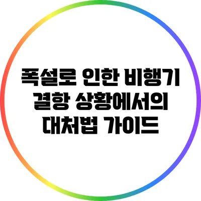폭설로 인한 비행기 결항 상황에서의 대처법 가이드