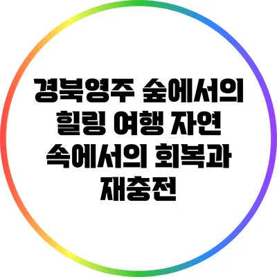 경북영주 숲에서의 힐링 여행: 자연 속에서의 회복과 재충전
