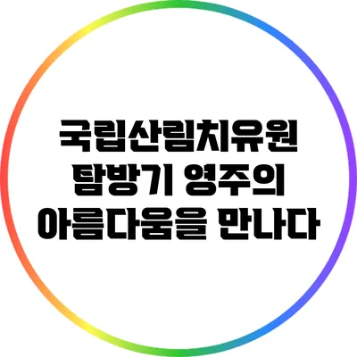 국립산림치유원 탐방기: 영주의 아름다움을 만나다