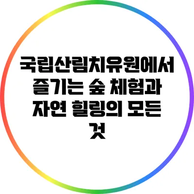 국립산림치유원에서 즐기는 숲 체험과 자연 힐링의 모든 것