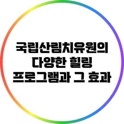 국립산림치유원의 다양한 힐링 프로그램과 그 효과