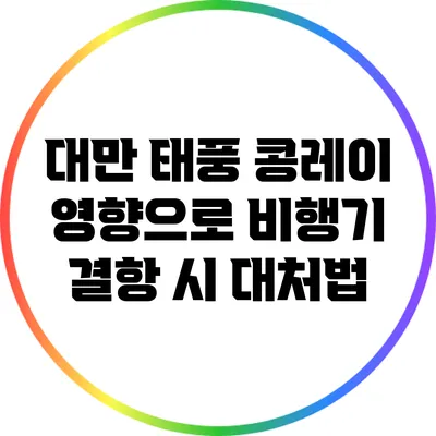 대만 태풍 콩레이 영향으로 비행기 결항 시 대처법