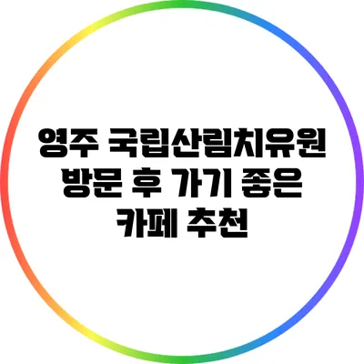 영주 국립산림치유원 방문 후 가기 좋은 카페 추천
