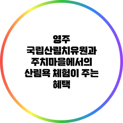 영주 국립산림치유원과 주치마을에서의 산림욕 체험이 주는 혜택