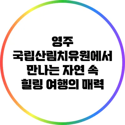 영주 국립산림치유원에서 만나는 자연 속 힐링 여행의 매력