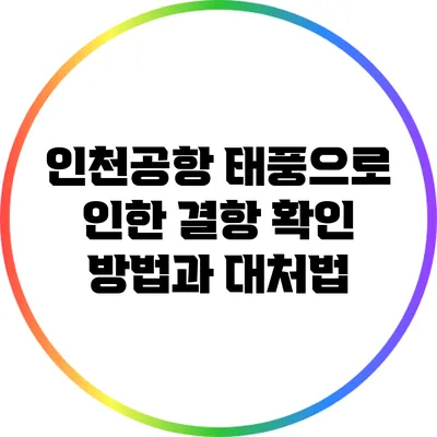 인천공항 태풍으로 인한 결항 확인 방법과 대처법