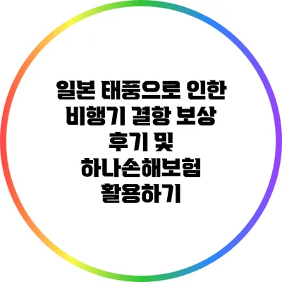 일본 태풍으로 인한 비행기 결항 보상 후기 및 하나손해보험 활용하기