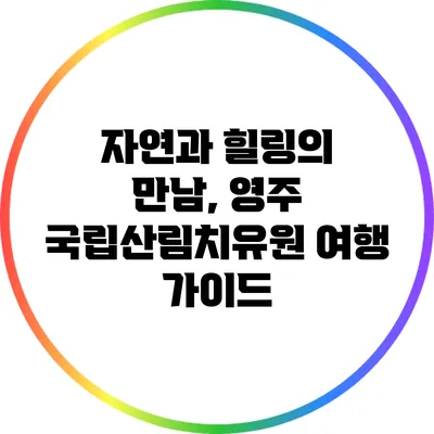 자연과 힐링의 만남, 영주 국립산림치유원 여행 가이드