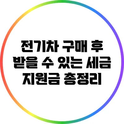 전기차 구매 후 받을 수 있는 세금 지원금 총정리
