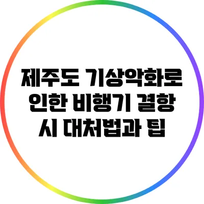 제주도 기상악화로 인한 비행기 결항 시 대처법과 팁
