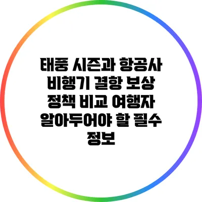 태풍 시즌과 항공사 비행기 결항 보상 정책 비교: 여행자 알아두어야 할 필수 정보