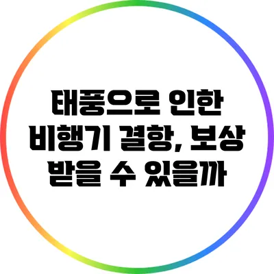 태풍으로 인한 비행기 결항, 보상 받을 수 있을까?